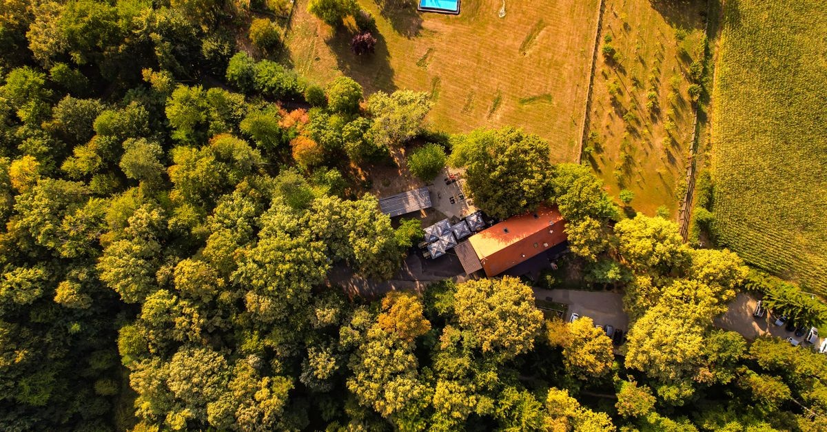 Ogród marzeń krok po kroku: jak zaplanować przestrzeń wokół domu, by była piękna i praktyczna