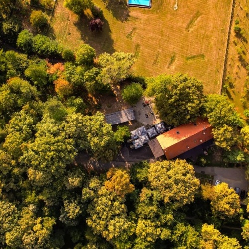 Ogród marzeń krok po kroku: jak zaplanować przestrzeń wokół domu, by była piękna i praktyczna