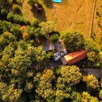 Ogród marzeń krok po kroku: jak zaplanować przestrzeń wokół domu, by była piękna i praktyczna